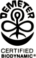 dbta-logo-small
