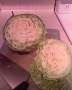 1st Cabbage