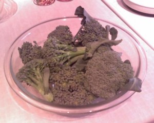 <b>Broccoli Harvest</b>