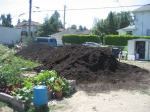 Soil Pile